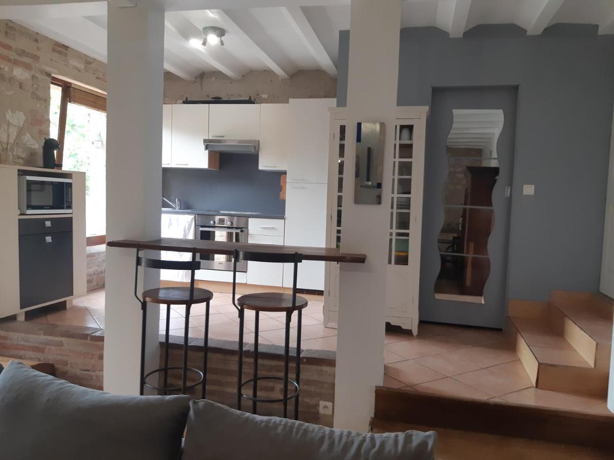 Charmant Appartement Vue Sur La Riviere. Albi Exterior photo