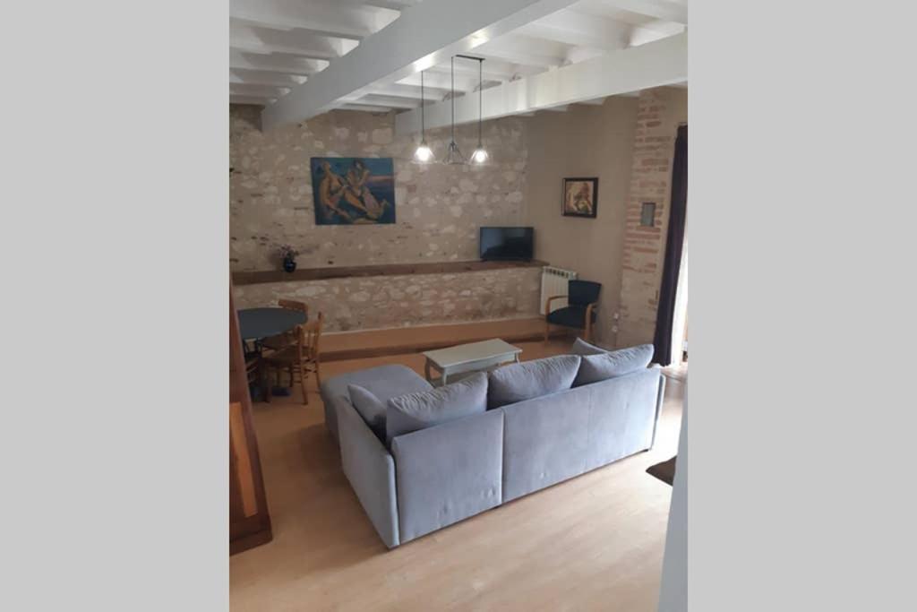 Charmant Appartement Vue Sur La Riviere. Albi Exterior photo