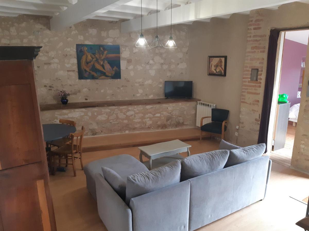 Charmant Appartement Vue Sur La Riviere. Albi Exterior photo